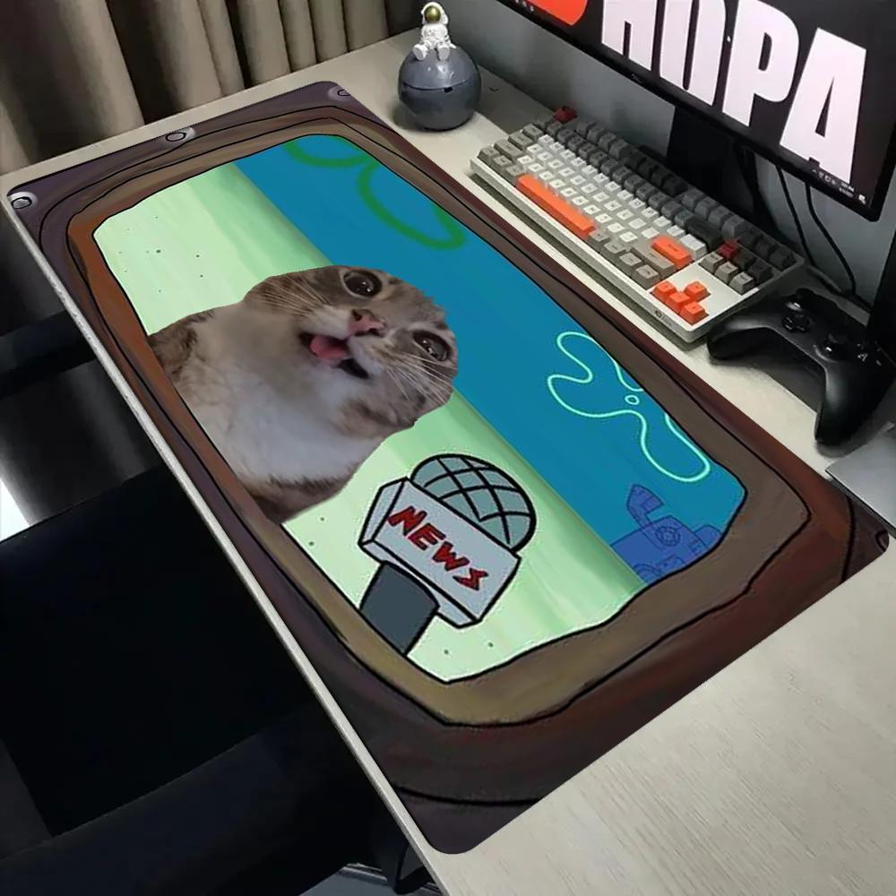Pc Gaming News - Grappige Reporter Cat Meme Grote Gaming